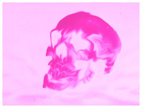 skull